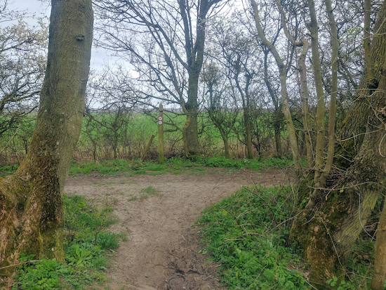 The junction of Wakeley bridleway 10 and Great Munden BOAT 59