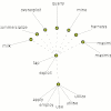 Toolkit Synonym