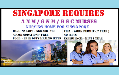 Singapore Requires  A N M / G N M / B S C Nurses