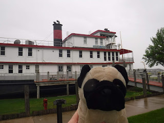 a plush pug appears in front of a white steamboat with red trim that is in drydock and has sidewalk and a gangplank  leading to it.