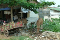 P1000467