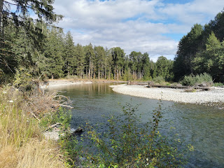 Cowichan River