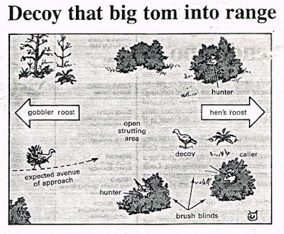 how to hunt Turkeys, hunting fishing maps and reports oregon and california