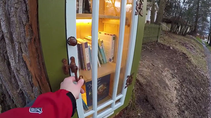 Woman Transformed A 110-Year-Old Dead Tree Into A Free Little Library For The Neighborhood