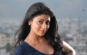 HD Wallpaper of Shriya Saran 13