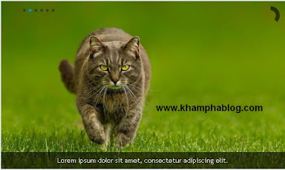 slider image cho blogspot