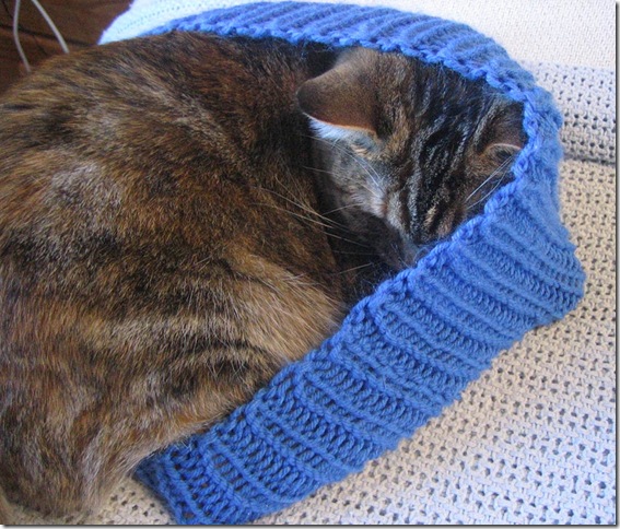 cat-in-the-hat-3
