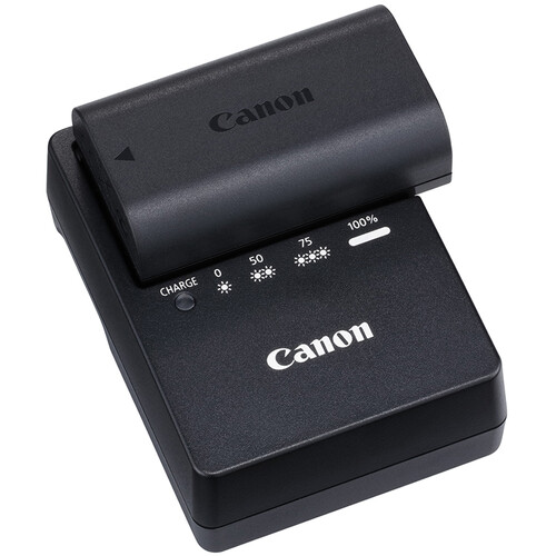 Jeff Cable's Blog: Using new Canon Speedlite EL-1 professional flash (Real world test)