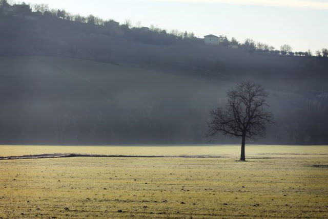 Standing Alone