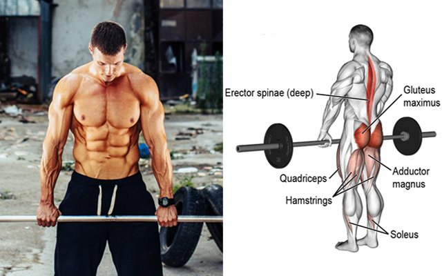 4 Deadlift Variations You Need to Try