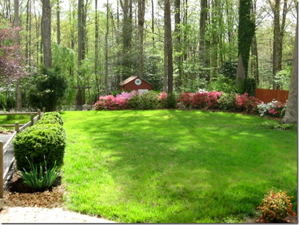 large-grassy-backyard-landscaping-3