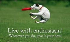 Funny Enthusiasm Quotes