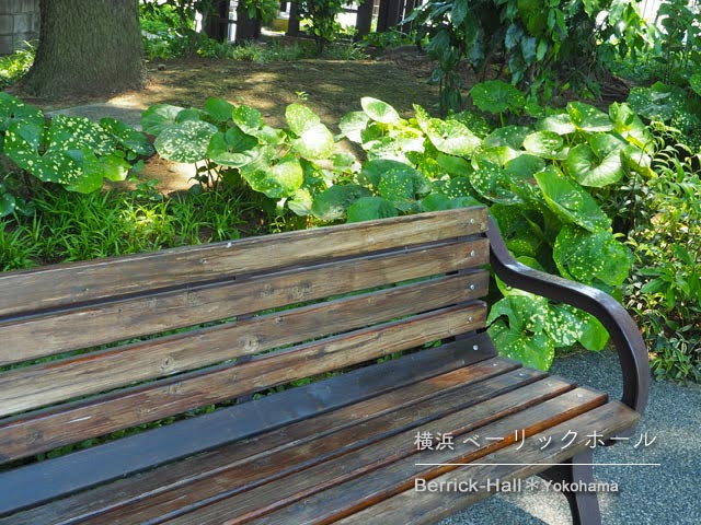 [横浜] ベーリック･ホールの庭のベンチ
