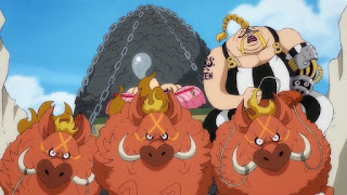 ワンピースアニメ | 百獣海賊団 クイーン Queen | ONE PIECE Beasts Pirates | Hello Anime !