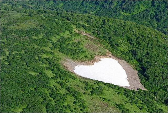 Kamchatka "Snowfield"