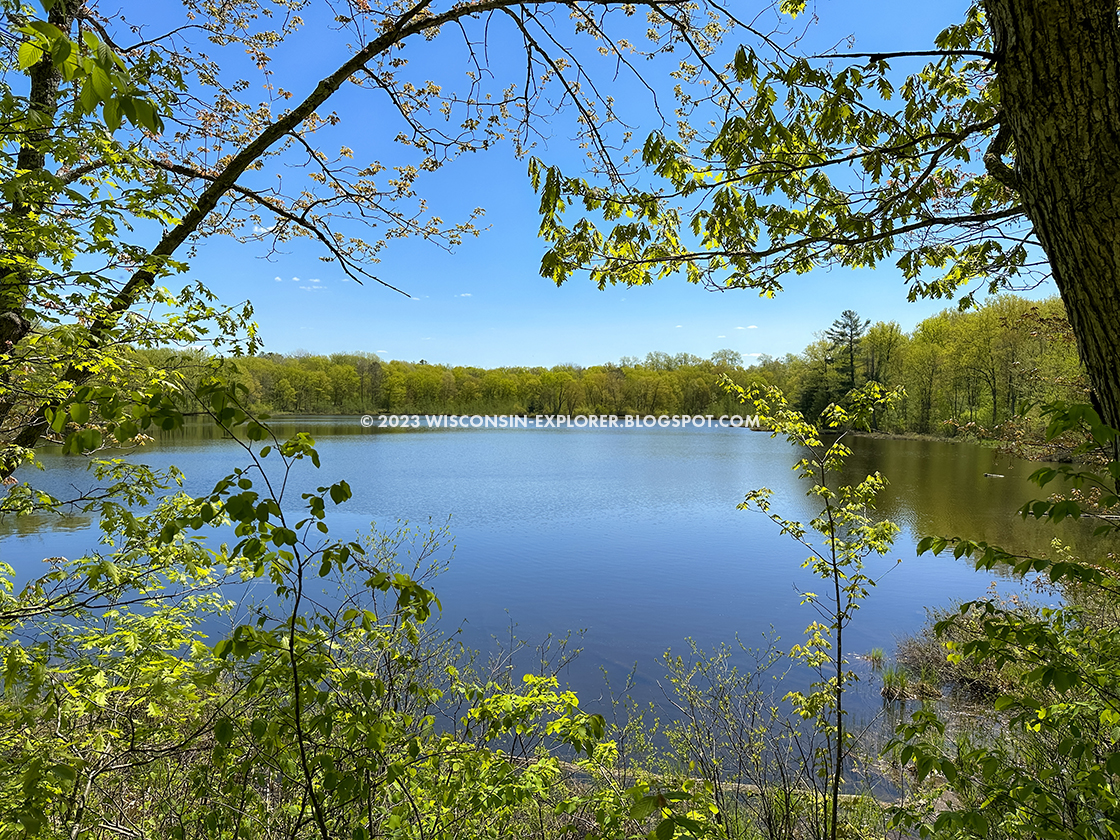a lake surrounded by spring green trees