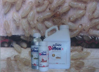 مبيدات شركة مكافحة النمل الابيض بالخرج