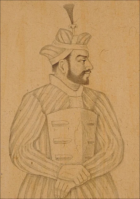 Zafar Khan, Ala-ud-din's general