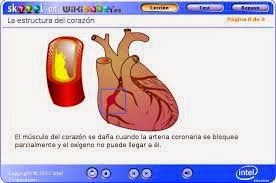 http://www.wikisaber.es/Contenidos/LObjects/heart_structure/index.html