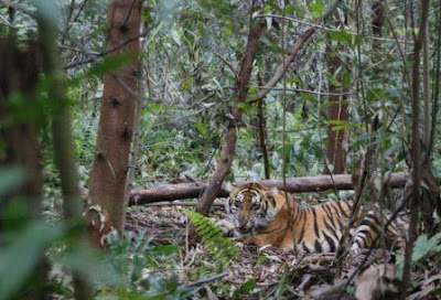  TEMPAT WISATA SELUMA BENGKULU TERBARU YANG WAJIB DIKUNJUNGI BERSAMA 45 TEMPAT WISATA SELUMA BENGKULU TERBARU YANG WAJIB DIKUNJUNGI BERSAMA