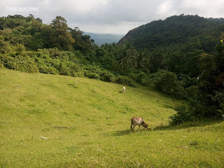 Pinoy Solo Hiker - Mt Daguldol