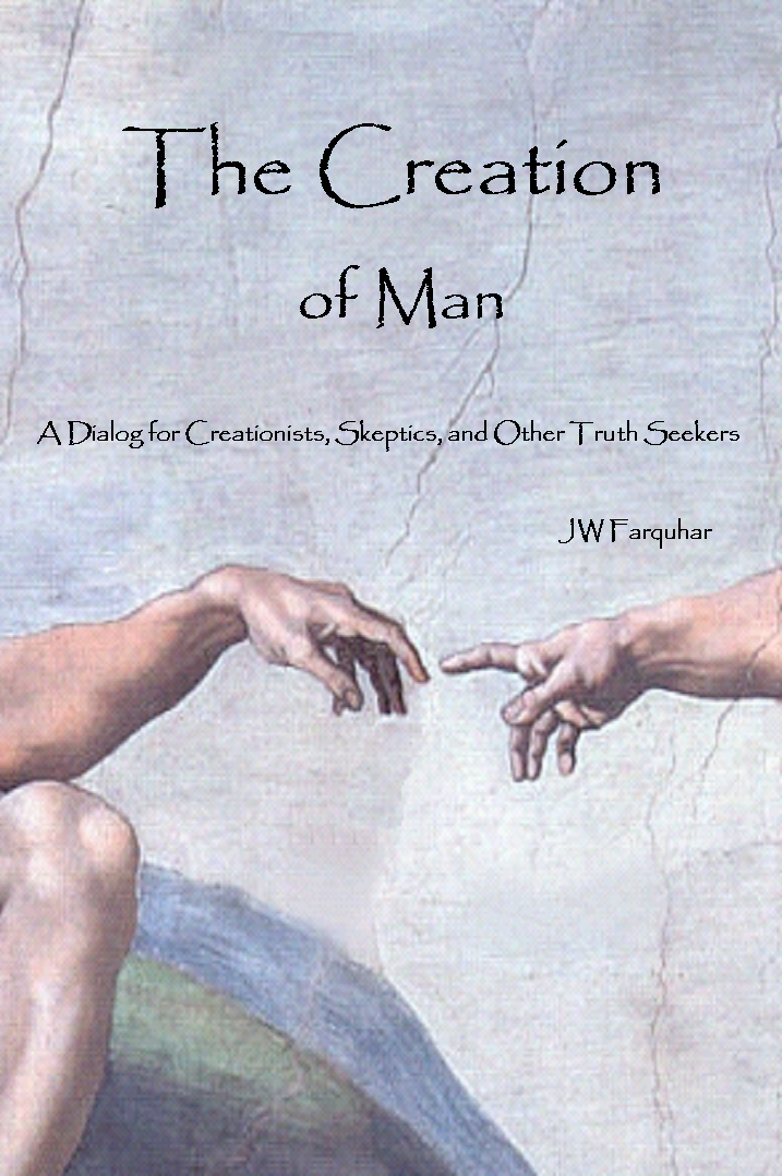 The Creation of Man reveals a