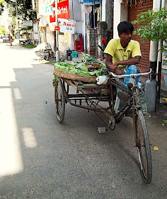 vegetables selling on cycle cart