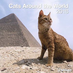 Cats Around the World 2018: teNeues Katzenkalender