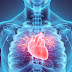 Alarming Revelation The Hidden Hazards of Heart Disease Remain a Perplexing Enigma