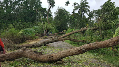 BD Cyclone Amphan