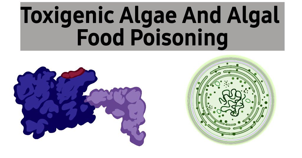 Toxigenic Algae And Algal Food Poisoning