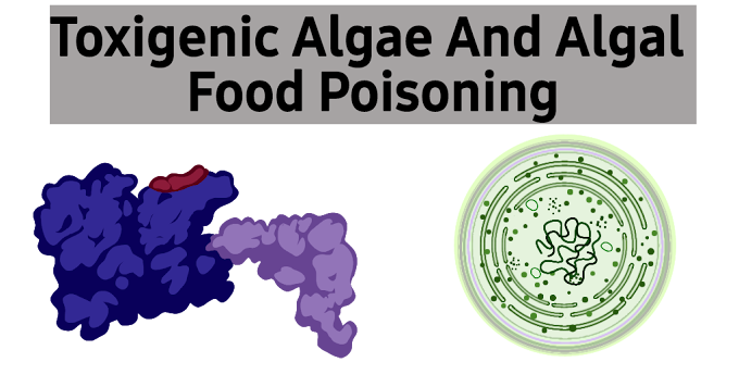 Toxigenic Algae And Algal Food Poisoning