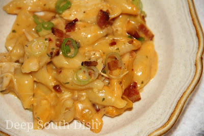 Macaroni and cheese, made with chicken, shell noodles and some common elements from my Buffalo Chicken Dip with Bacon.