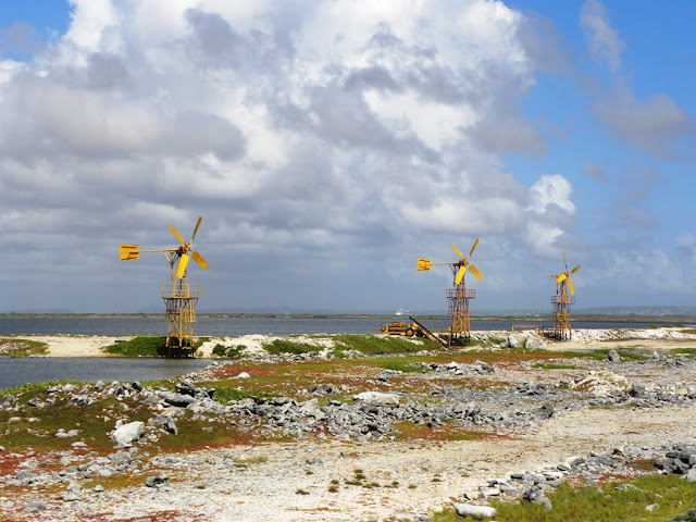 Salt Fields Bonaire