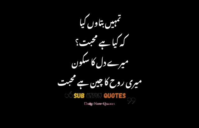 Urdu Quotes About Life