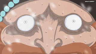 ワンピースアニメ パンクハザード編 586話 茶ひげ | ONE PIECE Episode 586