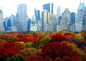 New York en automne