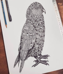 04-Zentangle-parrot-Tobias-www-designstack-co