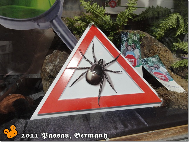 1Passau110713_001