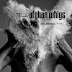 Recensione The Afghan Whigs - Do To The Beast