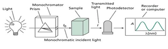 Spektrofotometer UV Vis Val Rein s blog