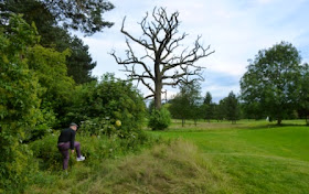 FootGolf at Stockwood Park in Luton, Bedfordshire