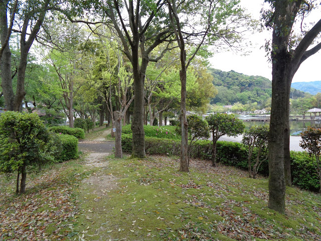 東郷湖羽合臨海公園あやめ池公園