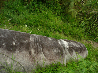 maturu sleeping megalith bada valley