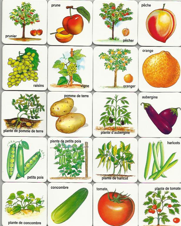 How To Grow Vegetables