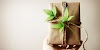 Easy ways for Packing with Eco-Friendly Boxes