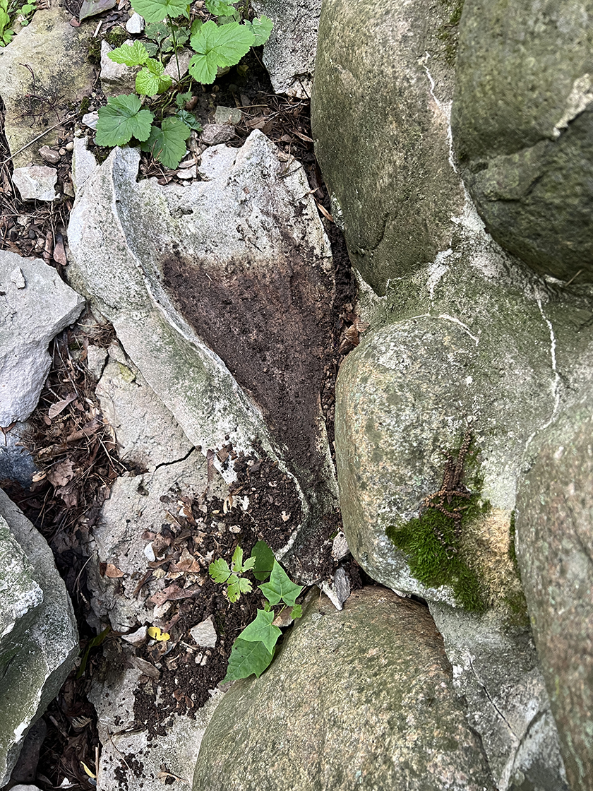 Interesting shaped rock