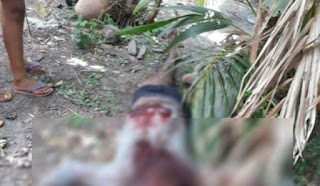 Corpo de homem é encontrado com marcas de tiro em quintal de casa em Bacabeira