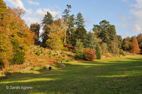 Autumn colours at Wakehurst in Sussex, photos by Sarah Agnew Modernbricabrac