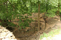 Zřícenina hradu Frymburk/The Frymburk Castle Ruins